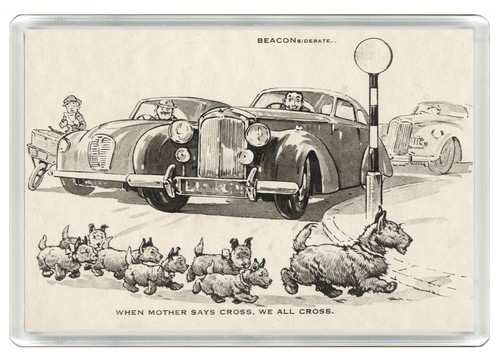 Scottish terrier dog fridge - terrier,