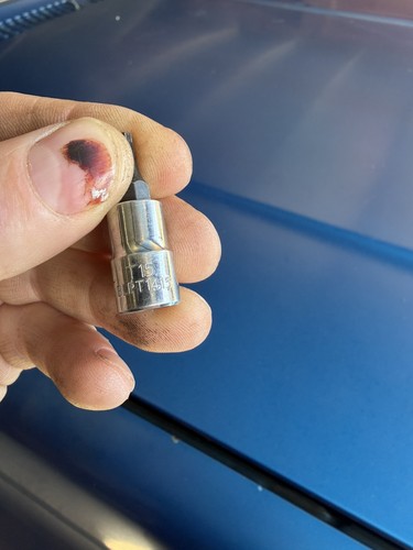 Blue point blpt1415 t15 torx - blpt1415,