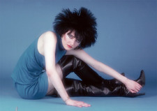 Siouxsie And The Banshees