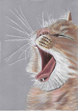  Original colour pencil artwork Art drawing beautiful pussy cat kitten yawning