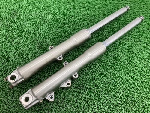Used softail front forks - softail,