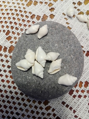 100 very small white - , natural