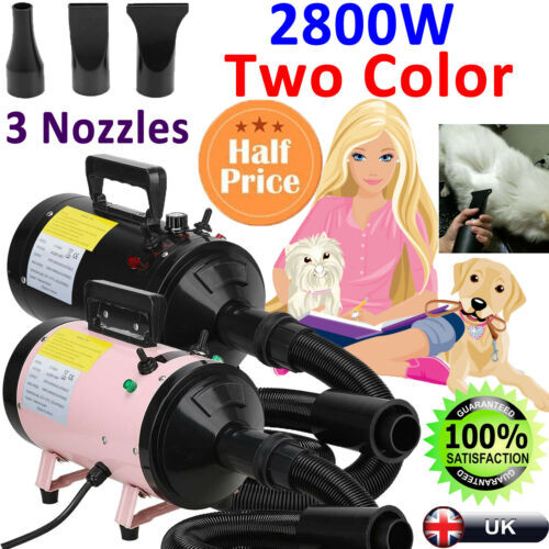2800w dog cat pet - 2800w,