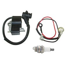 Chainsaw Ignition Coil & Spark