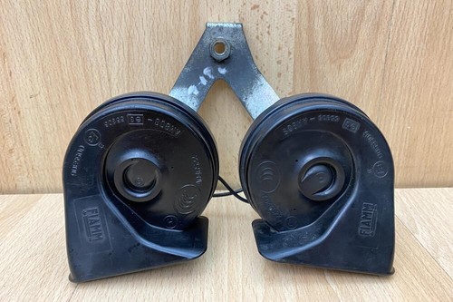 Twin horn assembly jaguar - twin,