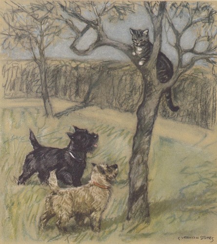 1947 scotty cairn dog print - 1947, &