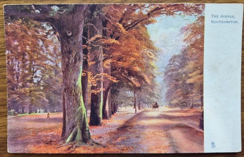 The avenue southampton - the, avenue,