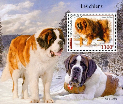 Dogs tibetan mastiff st - (tibetan, mastiff/st