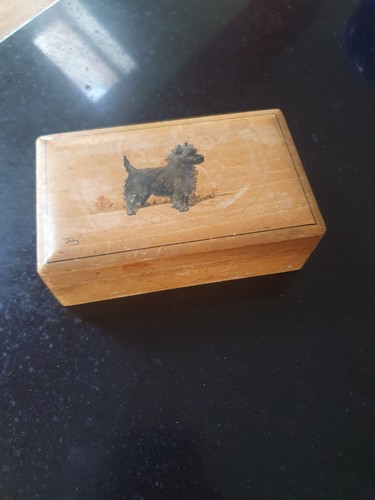 Small scottie dog - dog, box