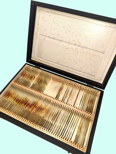 Vintage microscope slides - microscope, in