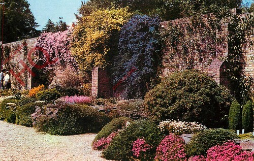 Postcard windsor great - great, park