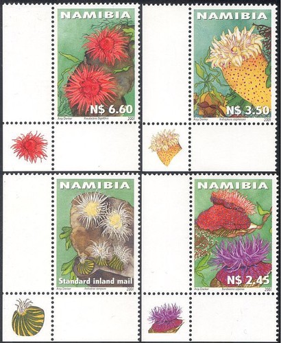 Namibia 2001 sea - namibia,