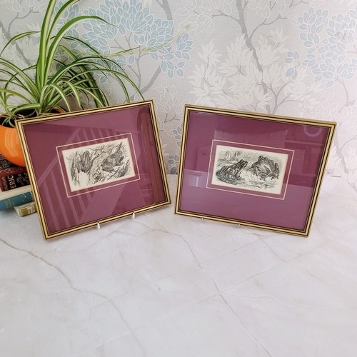 Pair victorian frog - toad, book