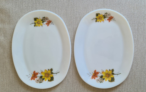 Vintage jaj pyrex - autumn, glory
