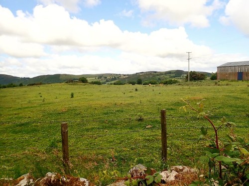 Photo 6x4 pasture - pasture, land