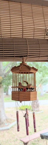 Bird cage singing birds wind - singing,
