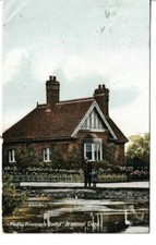 NEWCASTLE-ON-TYNE - PADDY