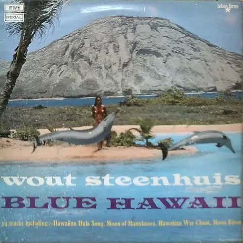 Wout steenhuis blue hawaii - wout,