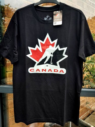Official ice hockey - m,