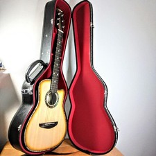 Alegre Electric Acoustic