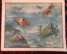 Fabulous Eileen Soper 1950s