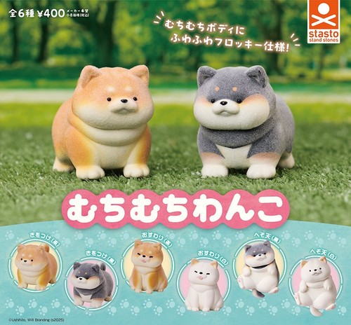 Chubby puppies complete set - chubby,