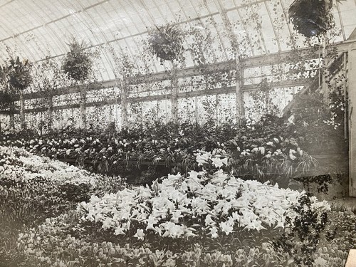 New york greenhouse - new,