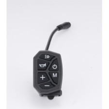 Multi-functional switch