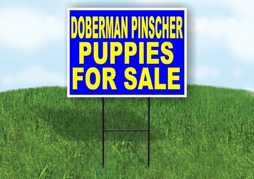Doberman pinscher puppies for - doberman,