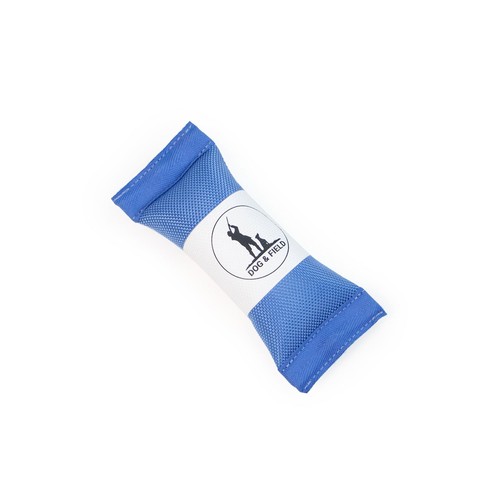 Dog field firehose gundog - dog, &