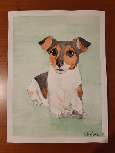 Jack russell terrier original - terrier,