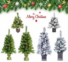 Christmas Tree Snow Flocked &