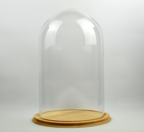 Clear circular glass dome with - dome,