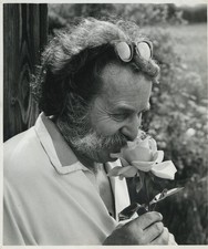 Harry Wheatcroft Rosarian Rose