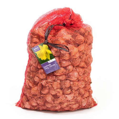 King alfred 20kg daffodil - king,