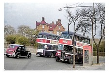 ptc9769 - Yorks' - Doncaster Buses & Car on Town Moor Avenue c1956 - print 6x4 
