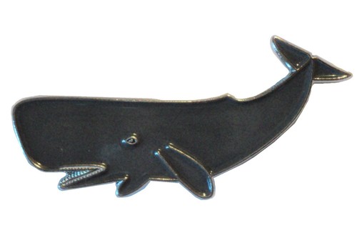 Sperm whale marine - whale,