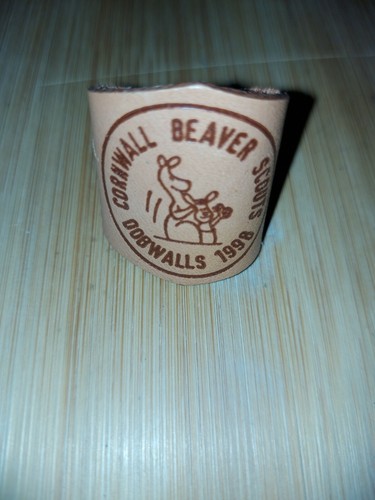Scouting cornwall beaver - uk,
