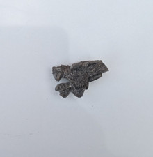 WFB Vampire Counts Dire Wolf Head metal