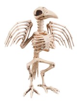 Large Halloween Bird Crow
