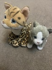 Living Nature Kittens Bengal