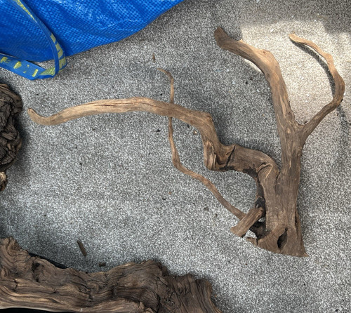 Natural genuine wood - natural,