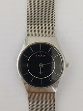 Ladies Skagen Watch Working