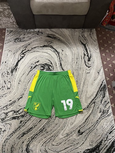 Norwich city match worn jacob - norwich,