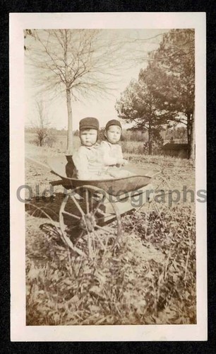 Babies dual wheelbarrow - 2, in