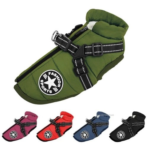 Winter warm pet dog - winter,