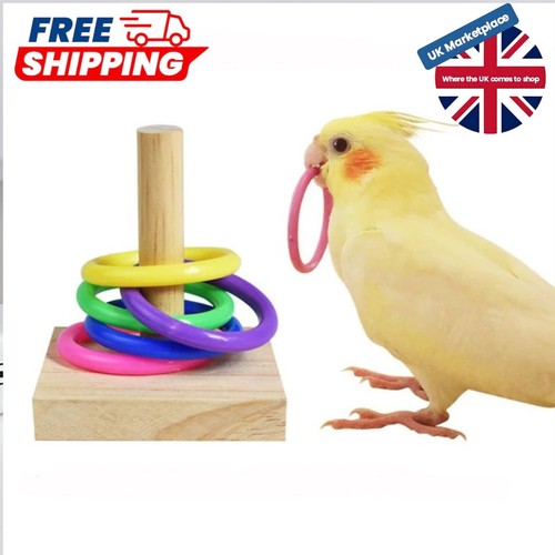 Wooden interactive parrot ring - interactive,