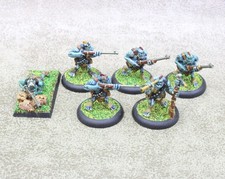 Hordes Trollbloods metal PYG