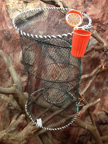 Fish trap eel reuse - fish-trap,eel, reuse,bait