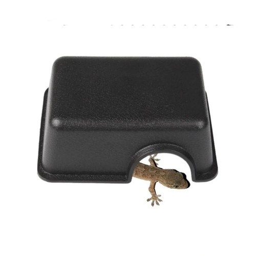 Small reptiles pets toys gecko - small,